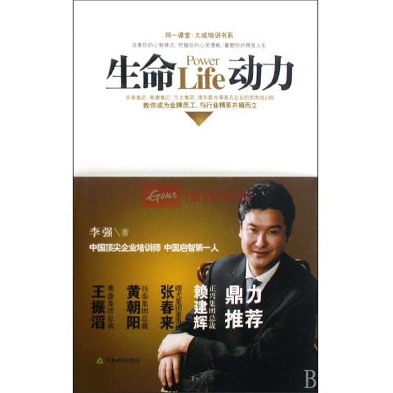 同一課堂·大成培訓書系：生命動力(生命動力（李強著圖書）)