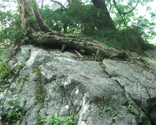 硯山八景