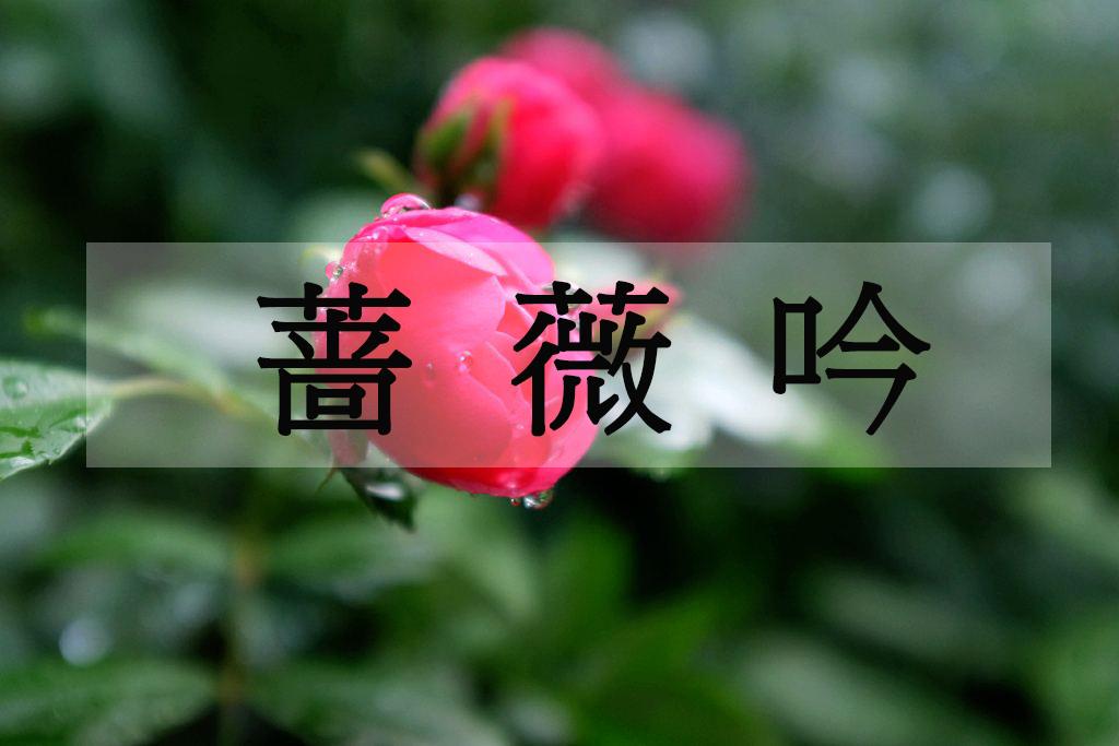 薔薇吟