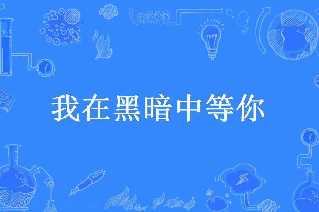 我在黑暗中等你