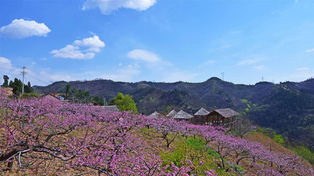 洪慶山