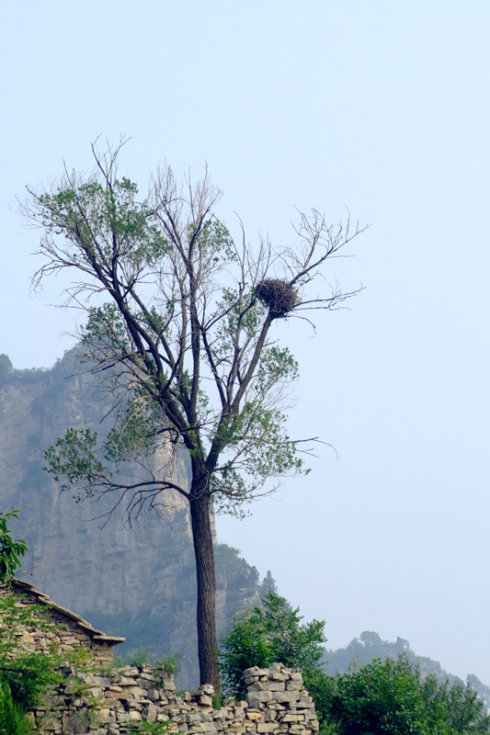 崖底村(山西省鄉寧縣雙鶴鄉下轄村)