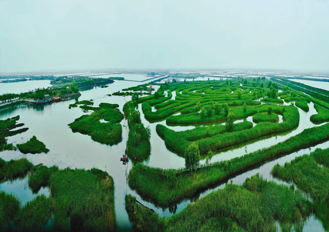 鹽城市大縱湖水利風景區