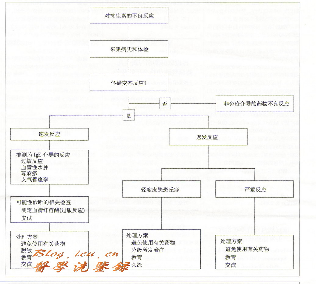 青黴素皮試