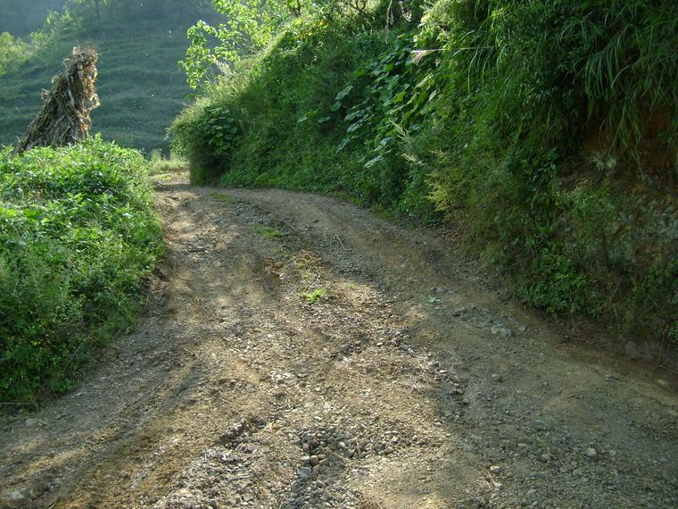 進村道路