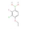 2-氟-3-氯-4-乙氧基苯硼酸
