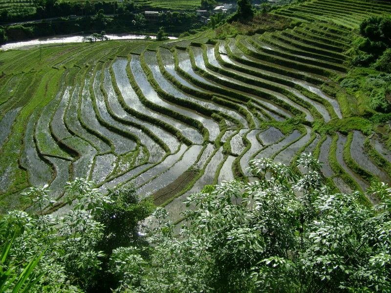 村中田園