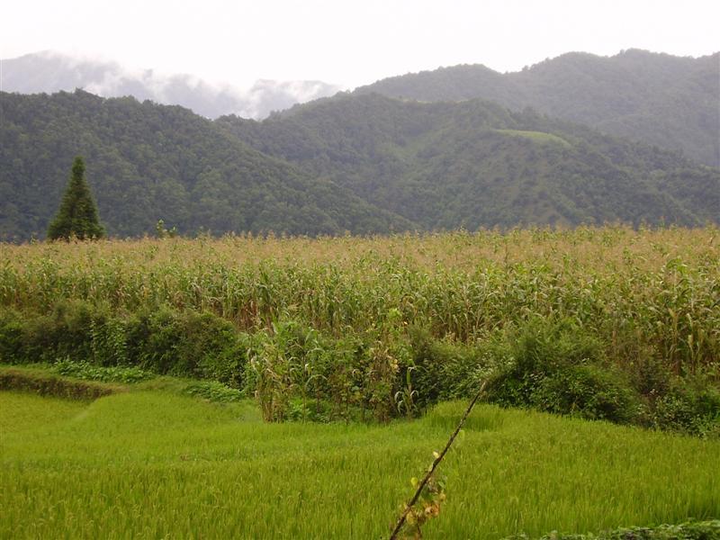 下單隴村