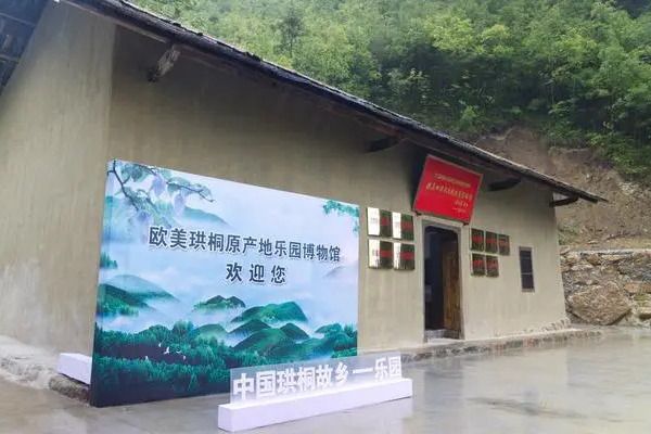 珙桐歷史博物館