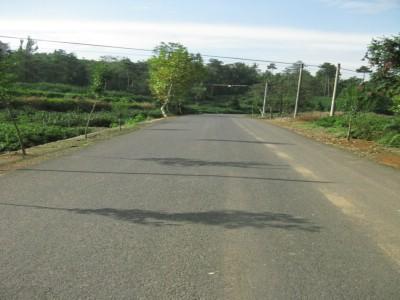 鄉村道路