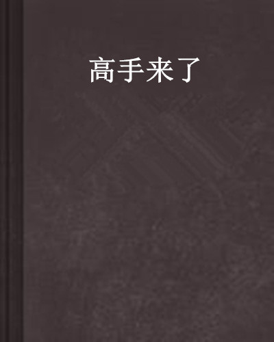 高手來了(起點網小說)