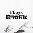 tfboys的青春有我