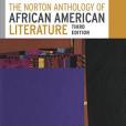 The Norton Anthology of African American Literature (Third Edition) (Vol. Two Volume Set)