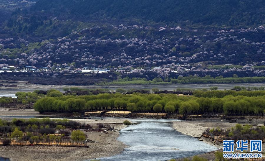 2020年4月2日拍攝的雅尼國家濕地公園春景