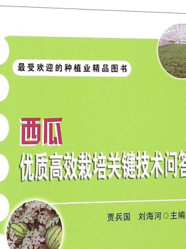 西瓜優質高效栽培關鍵技術問答