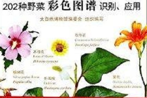 大自然博物館·百科珍藏圖鑑系列：野菜