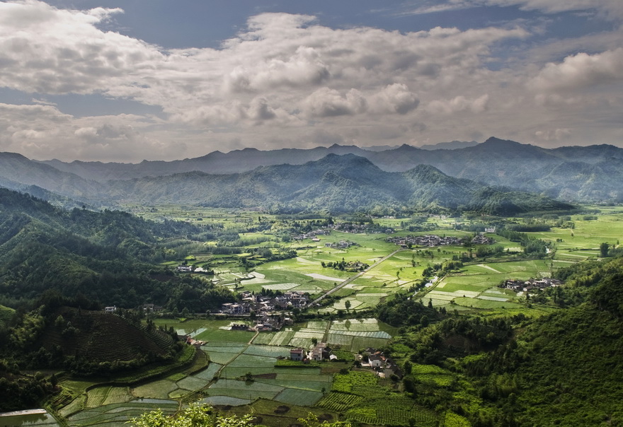 柯村村(福建泉州晉江市東石鎮柯村村)