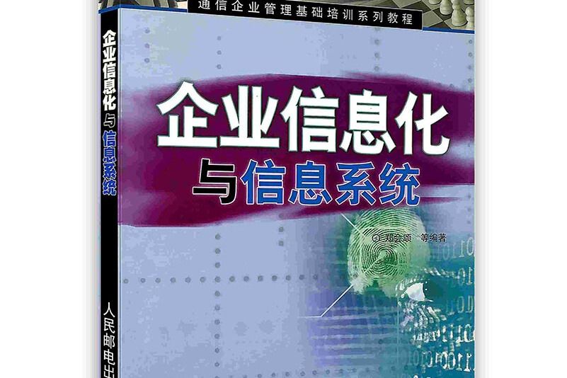 企業信息化與信息系統