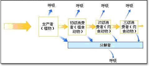 能量傳遞