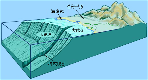 大陸架(陸架)