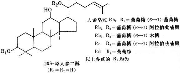 人參皂甙Rb1