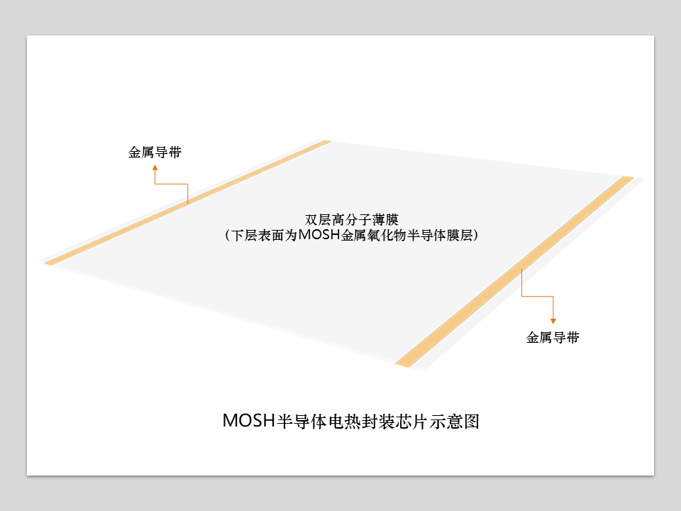 光之科技（北京）有限公司