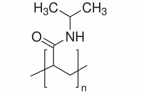 聚（N-異丙基丙烯醯胺）