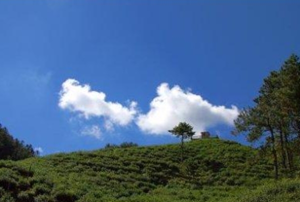 浙江黃岩大寺基森林公園