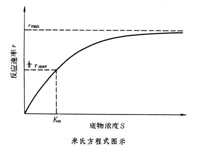 酶動力學