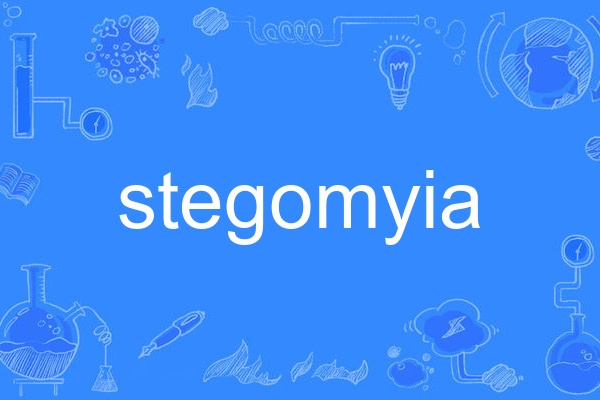 stegomyia