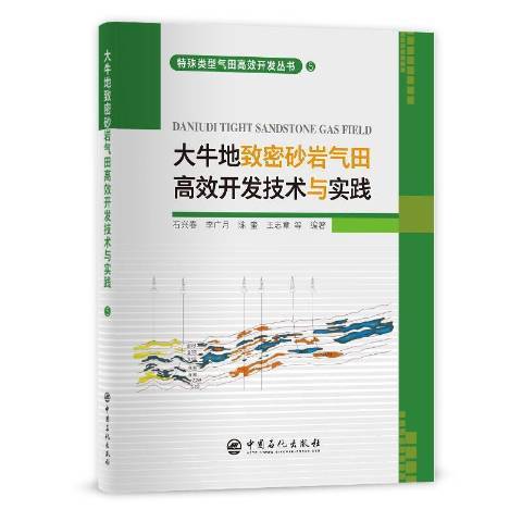 大牛地緻密砂岩氣田高效開發技術與實踐