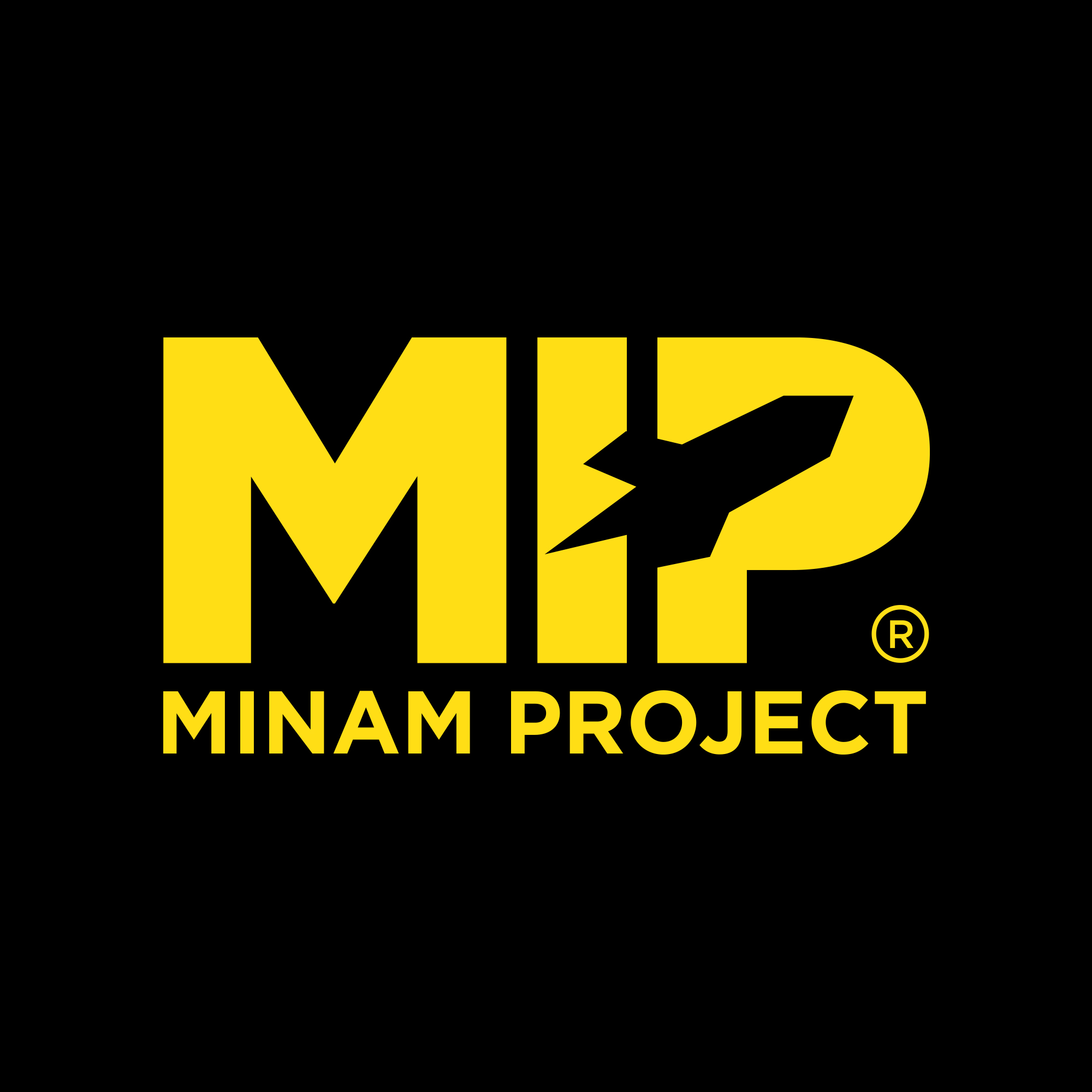 MIP MINAM PROJECT