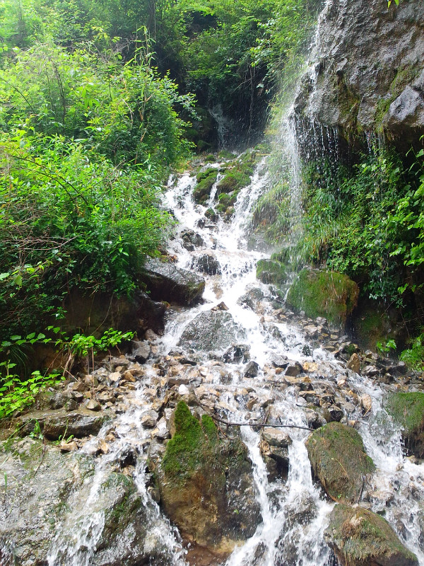 寧強山澗激流