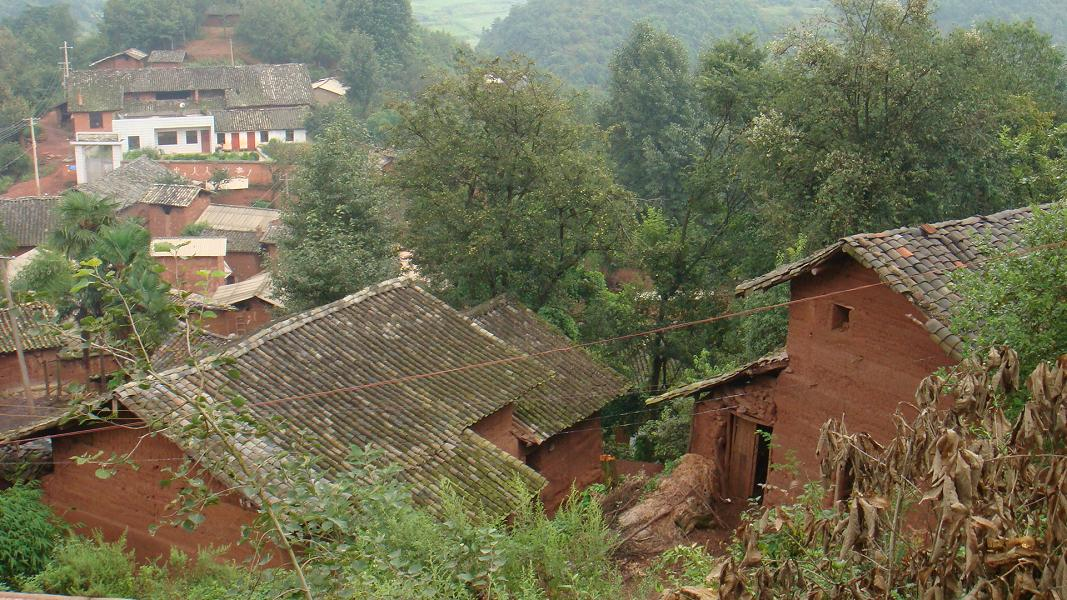 陡箐村(玉溪通海縣裡山彝族鄉下轄村)