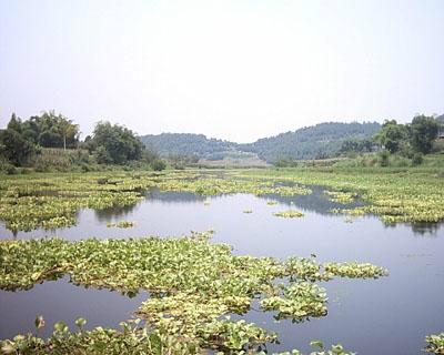 瀋水河