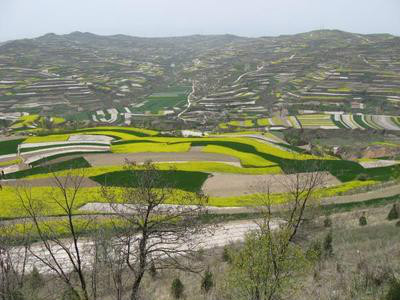 甘谷縣八里灣鄉張家坪村