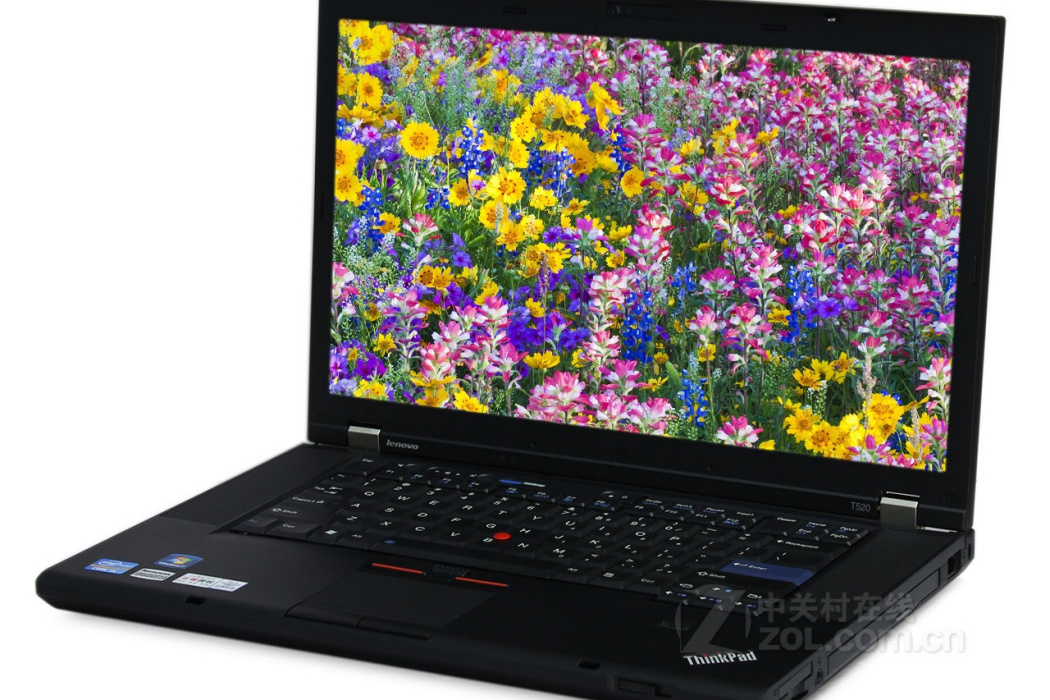 ThinkPad T520(4242A53)