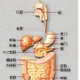 結腸易激綜合徵(腸激綜合徵)