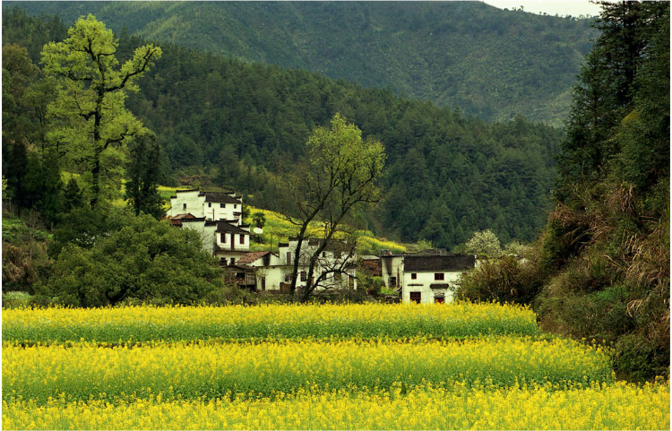 高梘村(浙江三門縣珠岙鎮高梘村)