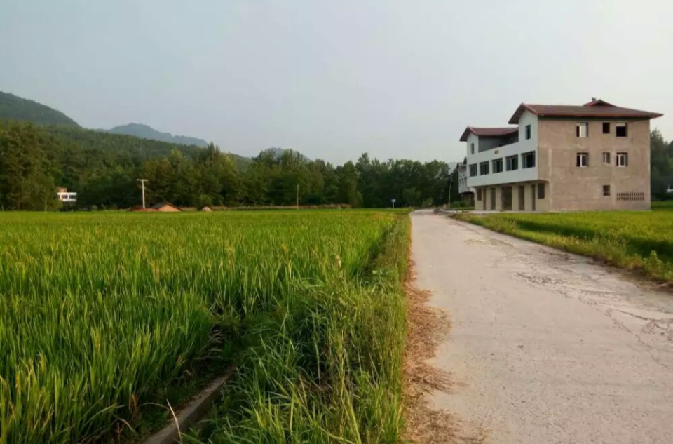 沿河鄉(達州市達川區沿河鄉)