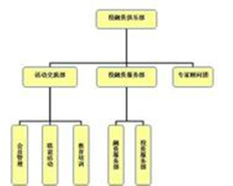 公司組織結構