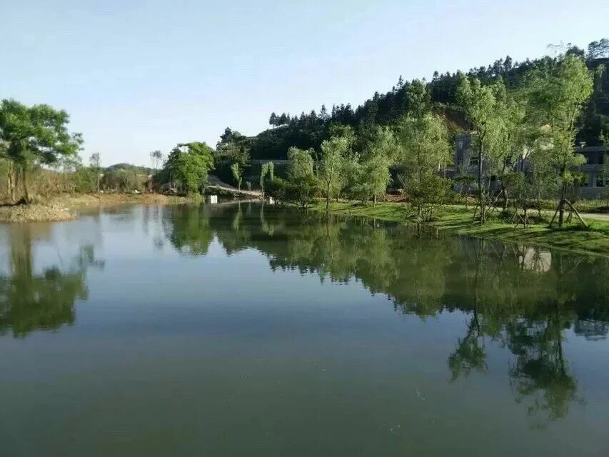 下九村(貴州省安順市西秀區大西橋鎮下九村)