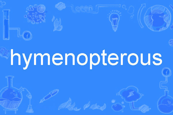 hymenopterous