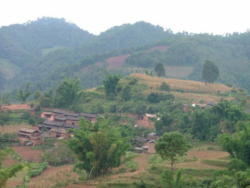 斑鳩塘自然村