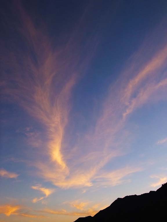 彩雲鳳凰