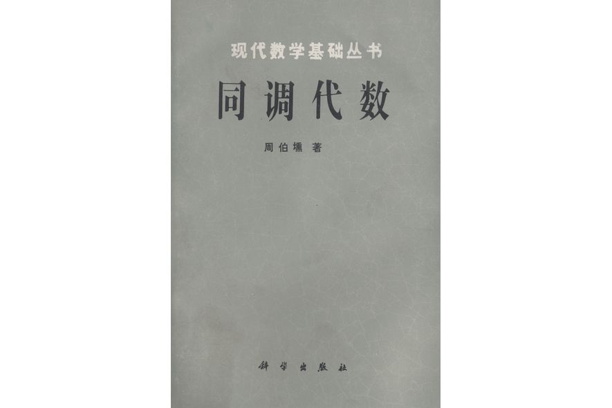 同調代數(1988年科學出版社出版的圖書)