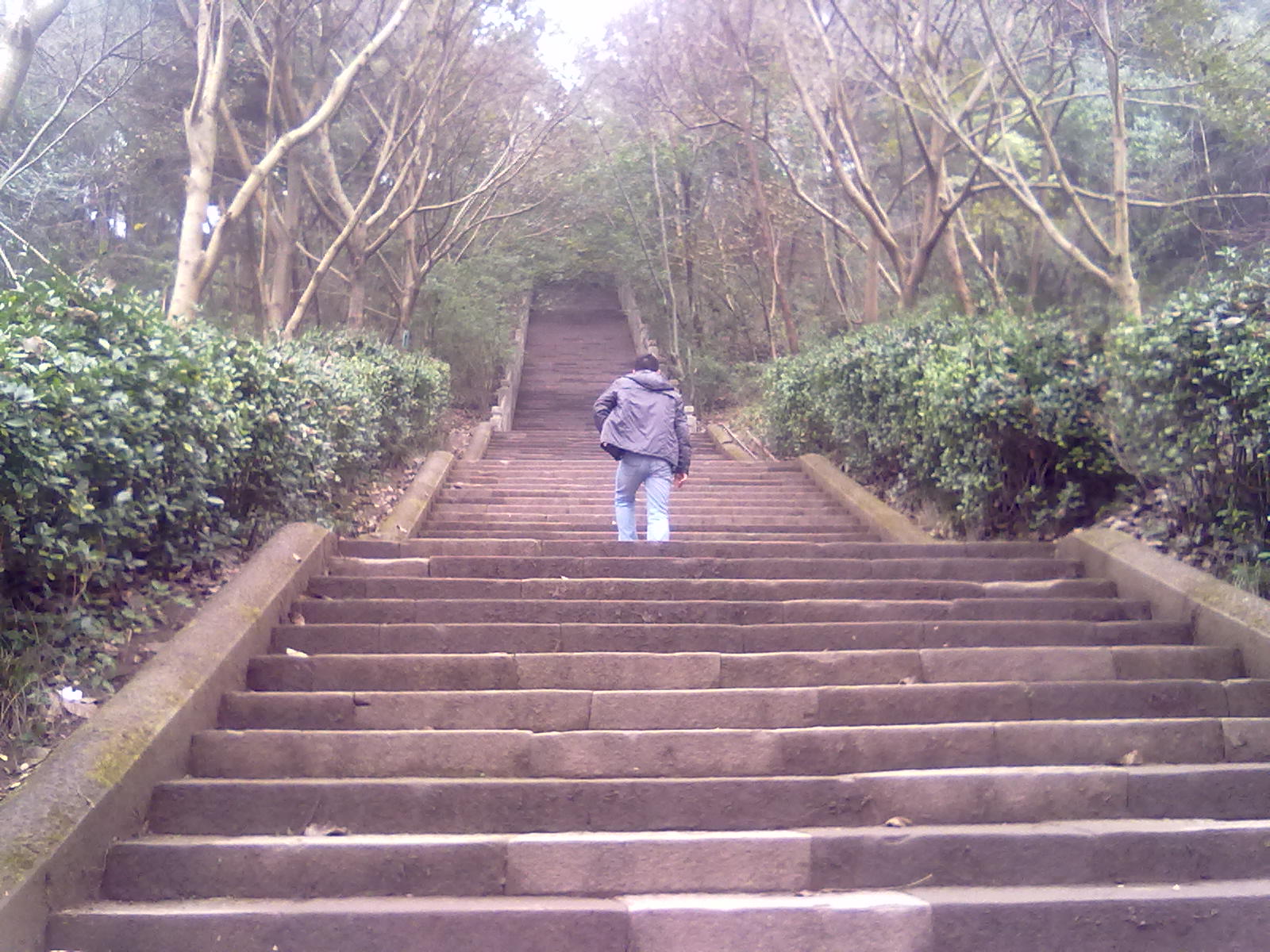 璧山埡村