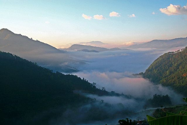 雲南靈寶山國家森林公園