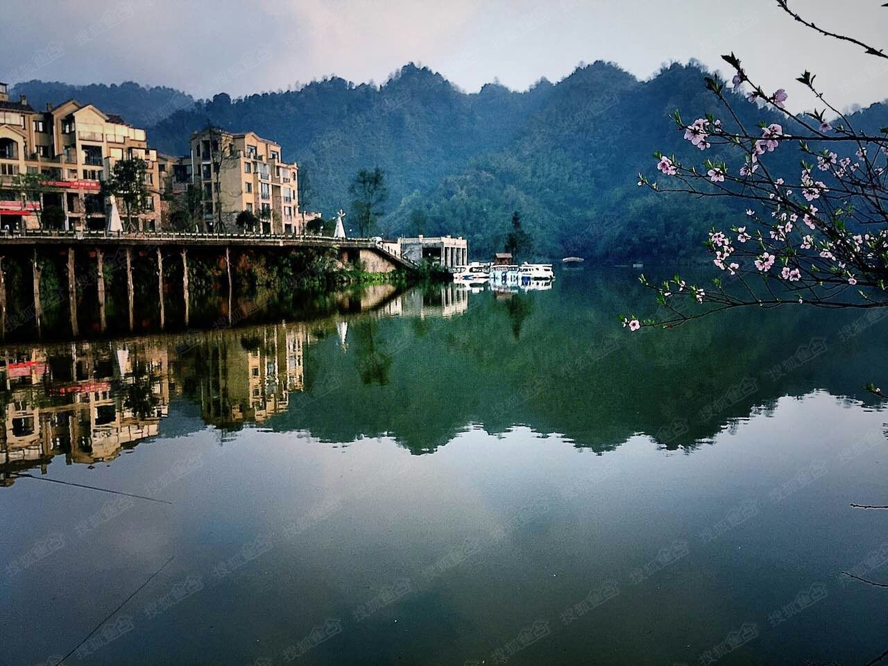 天鵝堡森林公園