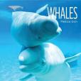 Whales(Gish, Melissa著圖書)